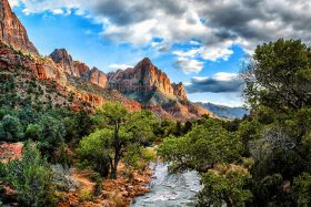 The Watchman in Spring