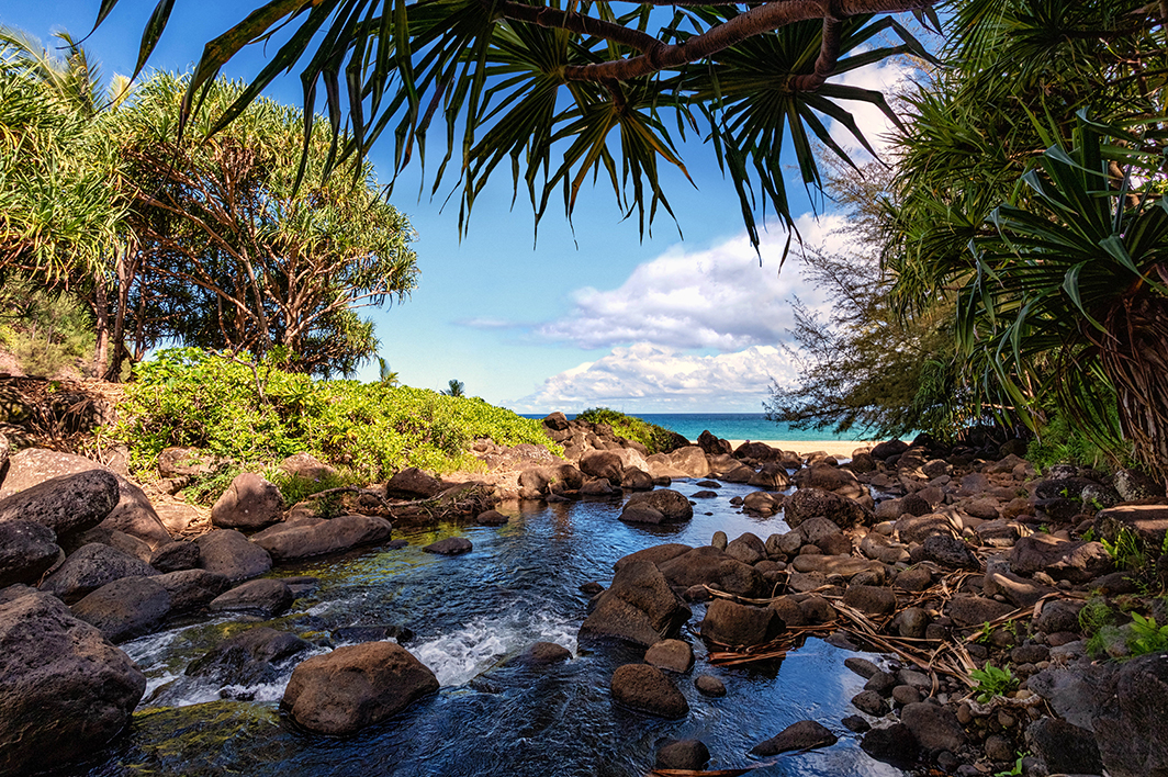Hawaiian Stream