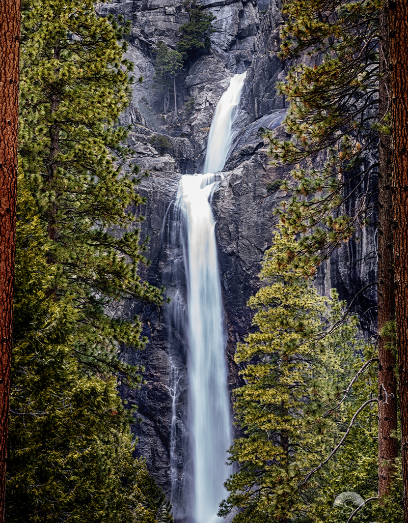 Bring the breathtaking beauty of Yosemite National Park into your home with this stunning landscape photo of Lower Yosemite Falls, elegantly framed by towering pine trees. This captivating image captures the power and grace of the cascading waterfall as it plunges into the valley below, surrounded by the lush greenery of Yosemite’s iconic forest. The contrast between the misty falls and the rugged textures of the pines creates a mesmerizing composition that evokes a sense of tranquility and adventure. Perfect for nature lovers and photography enthusiasts alike, this high-quality print will transform any space with the awe-inspiring grandeur of Yosemite. Order yours today and experience the magic of the great outdoors every day!