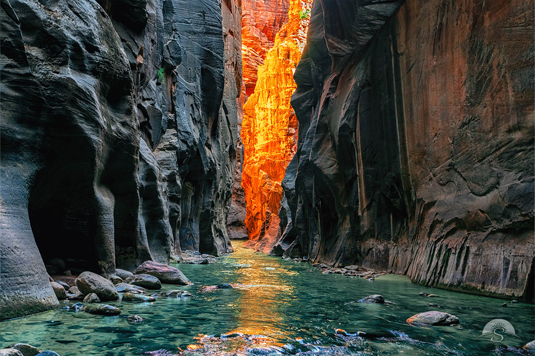 A distant wall is let up in The Narrow at Zion National Park