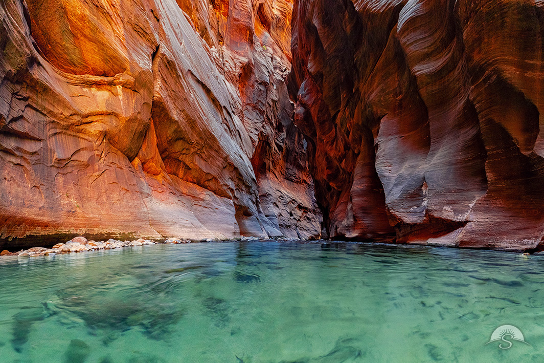 Waist deep water swirls through the canyon wall of Zion National Park